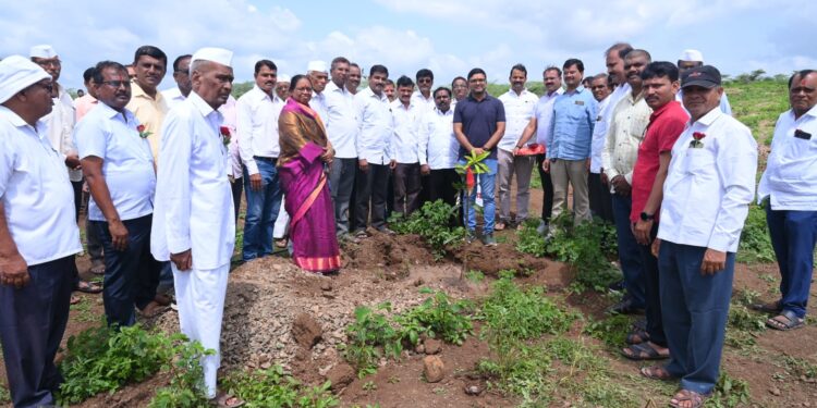 दौंड: देलवडी गावात ग्रामस्थांनी साकारले ‘आईचं बन’; उजाड माळावर फुलवले नंदनवन