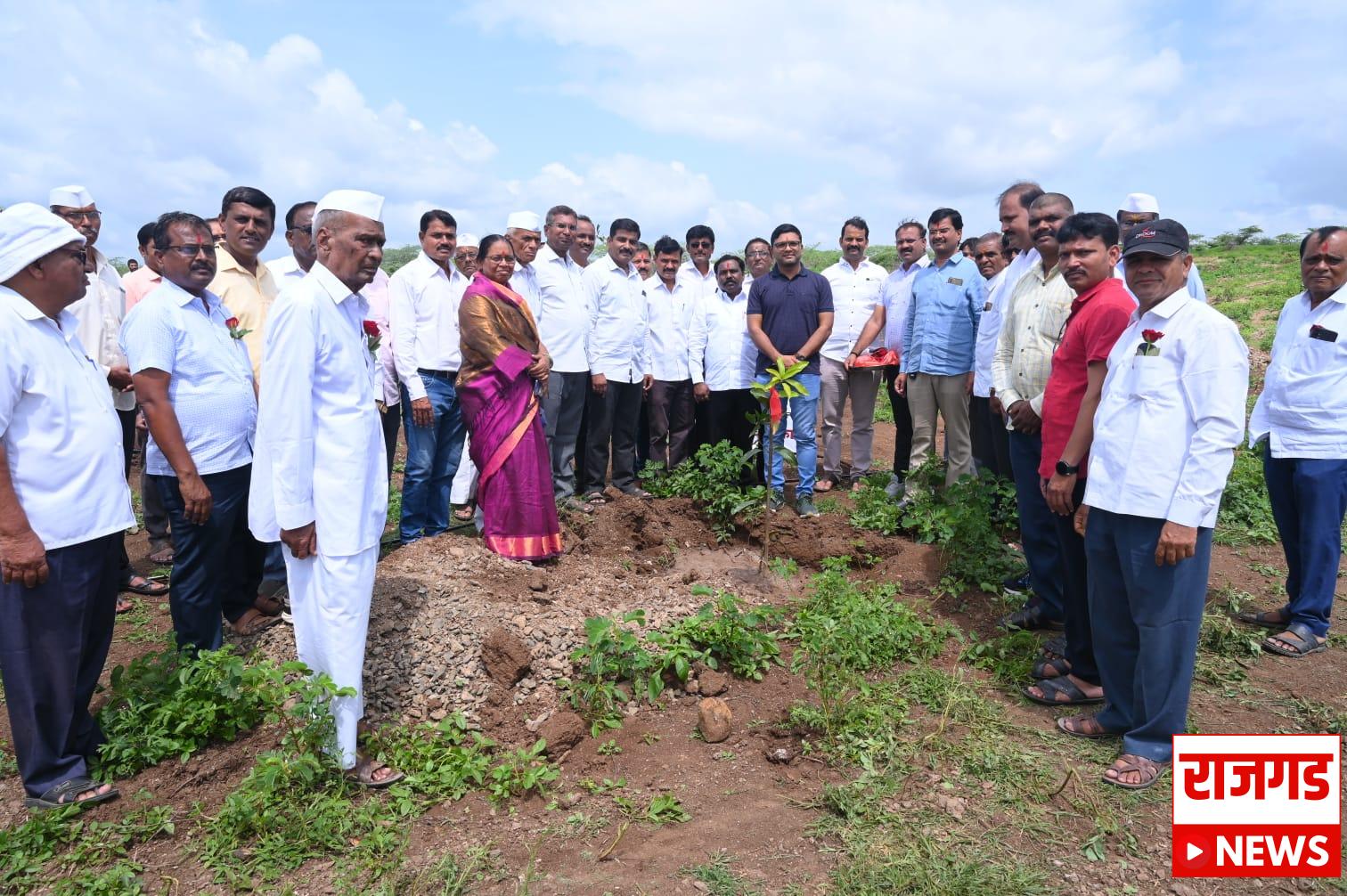 दौंड: देलवडी गावात ग्रामस्थांनी साकारले ‘आईचं बन’; उजाड माळावर फुलवले नंदनवन
