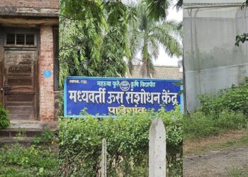 पाडेगाव: ऊस संशोधन केंद्रातील संशोधन कार्याला खीळ, ६०% जागा रिक्त; शासनाकडून संशोधन केंद्र वाऱ्यावर