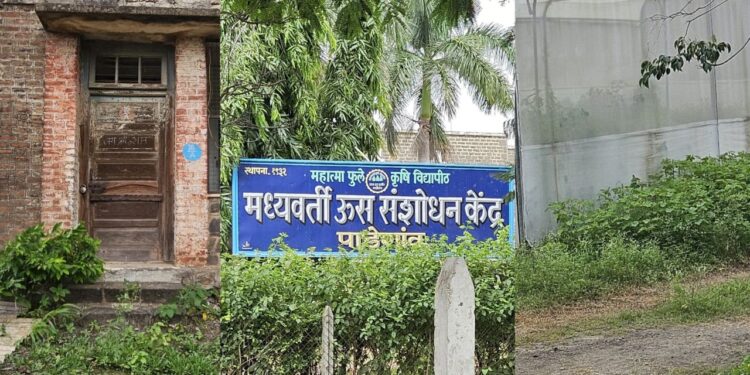 पाडेगाव: ऊस संशोधन केंद्रातील संशोधन कार्याला खीळ, ६०% जागा रिक्त; शासनाकडून संशोधन केंद्र वाऱ्यावर