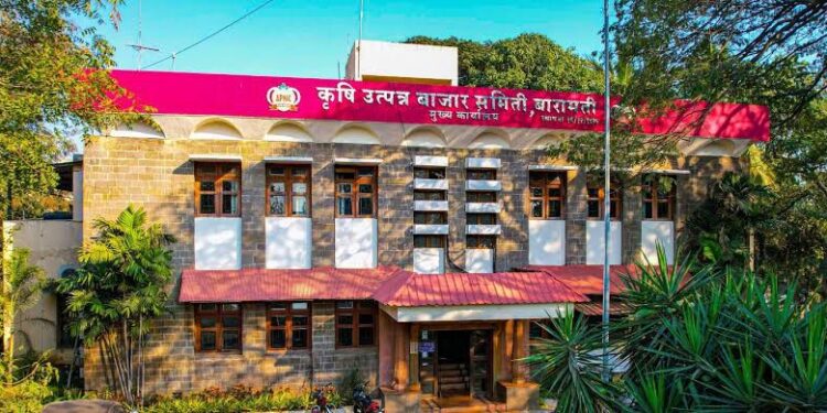 बारामती: लिंबू व कांद्याला ‘अच्छे दिन’; आवक कमी होत असल्याने मालाला मिळतोय उच्चांकी भाव