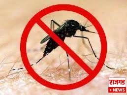 काळजी घ्या! बारामतीच्या ग्रामीण भागात डेग्यूंने डोकं वर काढलयं; एकाच वेळी संपूर्ण कुटुंबाला होतेयं डेंग्यूची लागण