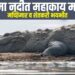 पारगांव: भीमा नदीत महाकाय मगर, मच्छिमार व शेतकरी भयभीत.