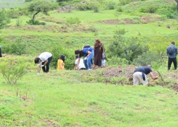 पर्यावरणः वॉटरशेड ऑर्गनायझेशन ट्रस्टच्यावतीने डोंगरावर बियांचे रोपण; कान्हुर मेसाईचा डोंगर देशी झाडांनी नटणार
