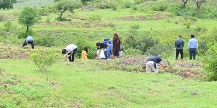 पर्यावरणः वॉटरशेड ऑर्गनायझेशन ट्रस्टच्यावतीने डोंगरावर बियांचे रोपण; कान्हुर मेसाईचा डोंगर देशी झाडांनी नटणार