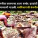 नामांकित कंपनीचा कारनामा आला समोर; झाडांची कत्तल करुन झाडे रस्त्याखाली गाडली, वनविभागाची कंपनीला नोटीस