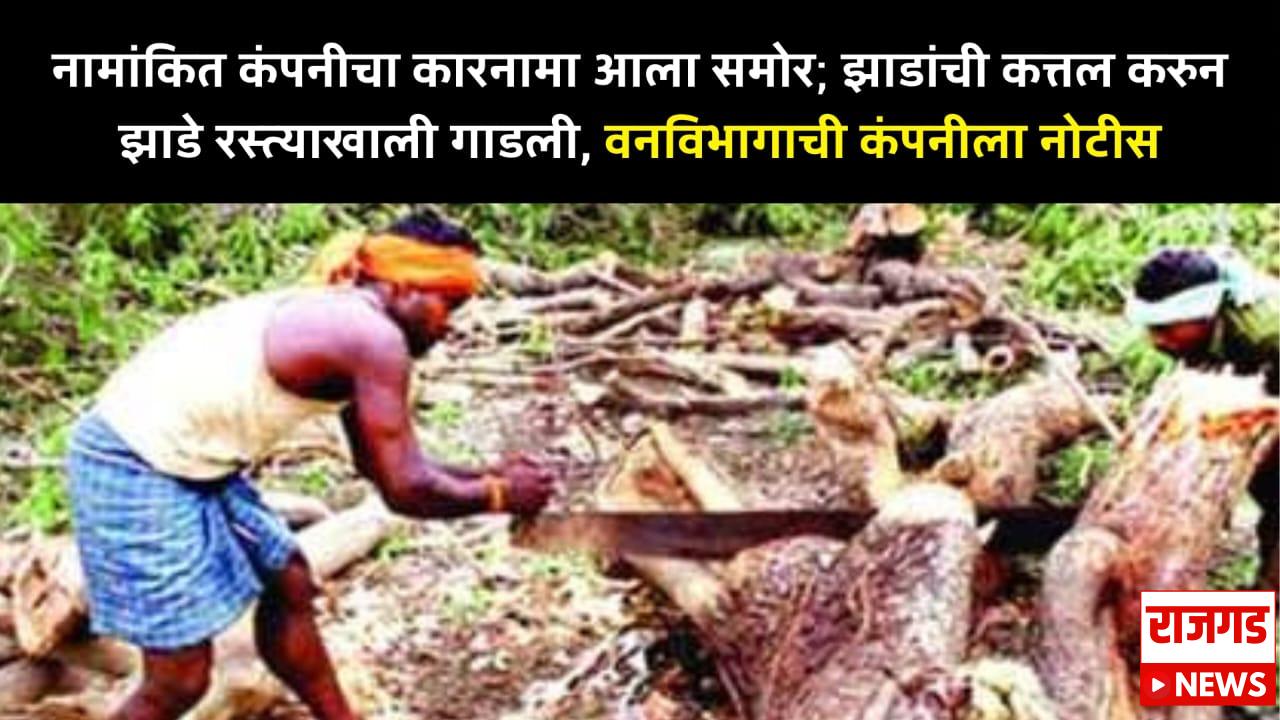 नामांकित कंपनीचा कारनामा आला समोर; झाडांची कत्तल करुन झाडे रस्त्याखाली गाडली, वनविभागाची कंपनीला नोटीस