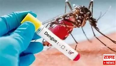 थैमान साथींच्या आजारांचेः निरेत डेंगू, चिकूनगुनियामुळे आरोग्य यंत्रणा ‘व्हेटिंलेटरवर’