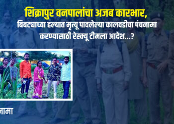 कारभार (पंचनामा ) : शिक्रापुर वनपालांचा अजब कारभार, बिबट्याच्या हल्यात मृत्यू पावलेल्या कालवडीचा पंचनामा करण्यासाठी रेस्क्यू टीमला आदेश…?
