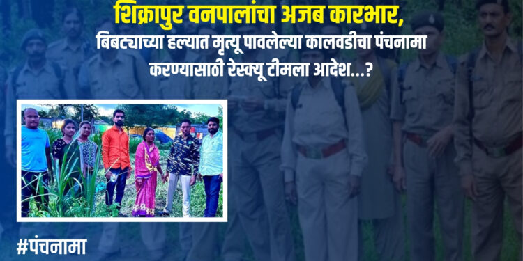 कारभार (पंचनामा ) : शिक्रापुर वनपालांचा अजब कारभार, बिबट्याच्या हल्यात मृत्यू पावलेल्या कालवडीचा पंचनामा करण्यासाठी रेस्क्यू टीमला आदेश…?