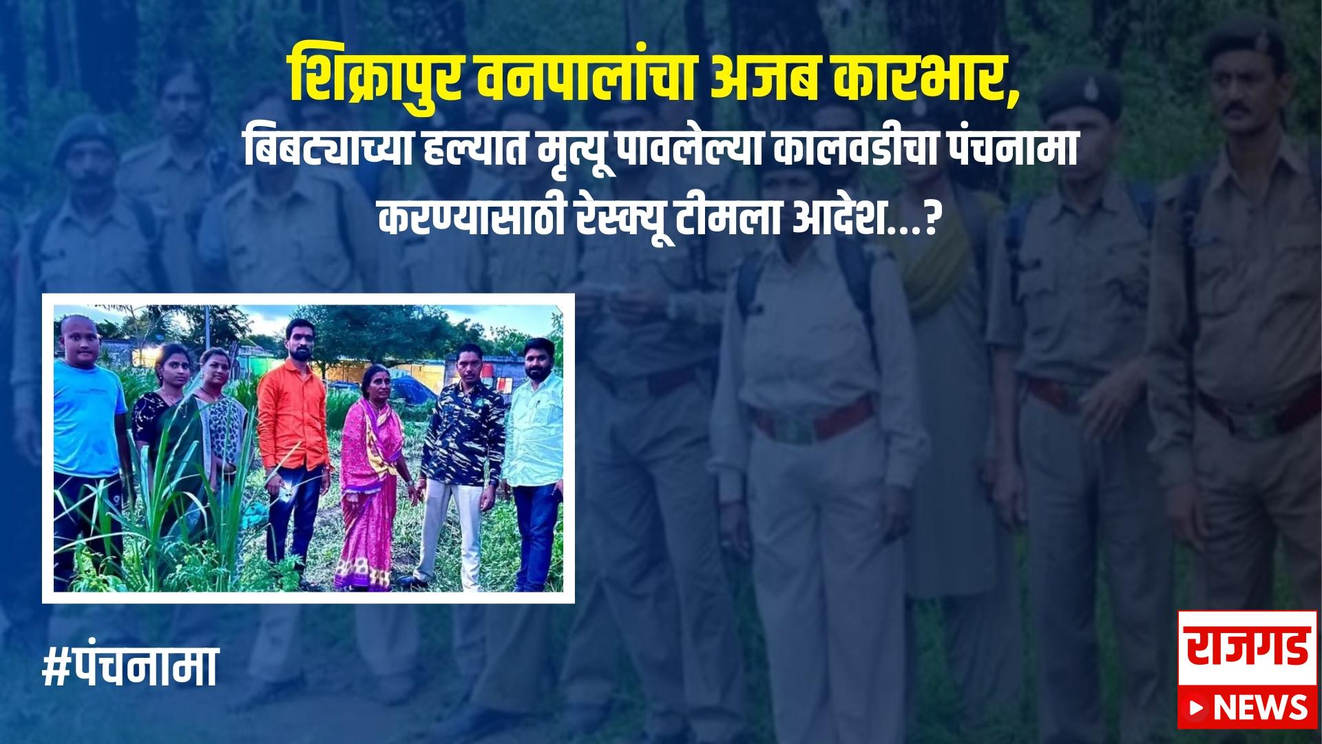 कारभार (पंचनामा ) : शिक्रापुर वनपालांचा अजब कारभार, बिबट्याच्या हल्यात मृत्यू पावलेल्या कालवडीचा पंचनामा करण्यासाठी रेस्क्यू टीमला आदेश…?