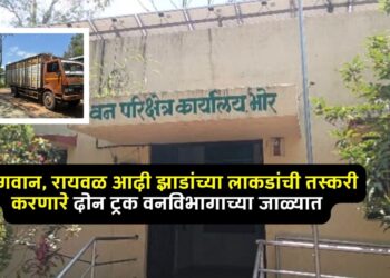 भोर वनविभागाची मोठी कारवाईः सागवान, रायवळ आदी झाडांच्या लाकडांची तस्करी करणारे दोन ट्रक वनविभागाच्या जाळ्यात