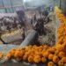 भोरः राज्य सरकारच्या ‘राज्यमाता-गोमाता’ निर्णयाचे स्वागत; निर्णयामुळे देशी गायींचे पालन पोषण करणाऱ्या पशुपालकास प्रेरणा मिळणारः गोसेवक अमित दादा पाटील