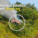 Pune helicopter crash – बावधन परिसरामध्ये हेलिकॉप्टर कोसळले; तिघांचा मृत्यू