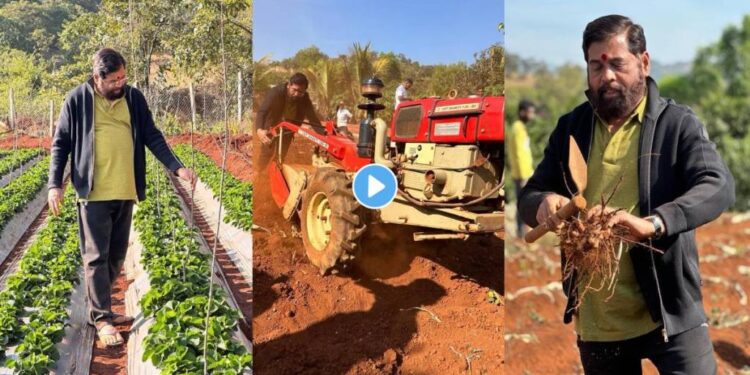 काळजीवाहू मुख्यमंत्री त्यांच्या मूळ दरे गावी जाणार; बैठकांचा सिलसिला मंदावणार, आराम करण्यासाठी जाणार असल्याची माहिती