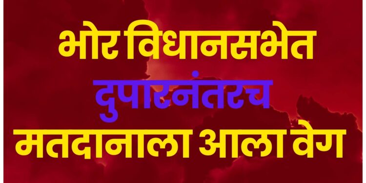 भोर विधानसभेतील मतदारांना दुपारनंतरच आली ‘जाग’; ‘इतके’ टक्के झाले मतदान, दुर्गम भागातील मतदारांचा उस्फुर्त प्रतिसाद