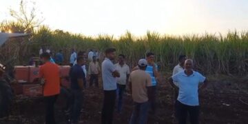 दौंडमध्ये बिबट्या बनला नरभक्षक ! बिबट्याच्या हल्ल्यात शेतकरी महिलेचा मृत्यू