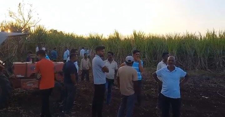 दौंडमध्ये बिबट्या बनला नरभक्षक ! बिबट्याच्या हल्ल्यात शेतकरी महिलेचा मृत्यू