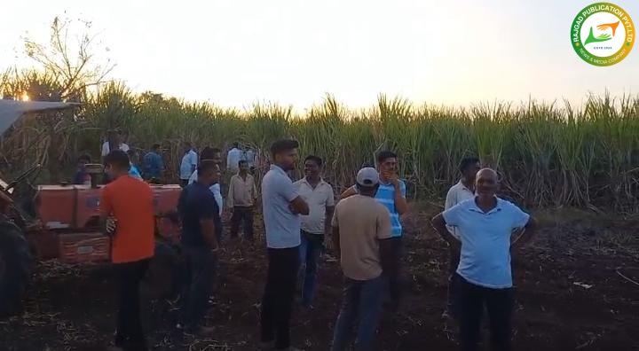 दौंडमध्ये बिबट्या बनला नरभक्षक ! बिबट्याच्या हल्ल्यात शेतकरी महिलेचा मृत्यू