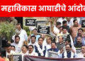 Nagpur Adhivishan: कापूस, सोयाबीन, तूर पिकाला हमीभाव मिळावा; महाविकास आघाडीतील नेत्यांचे विधिमंडळाच्या पायऱ्यांवर आंदोलन