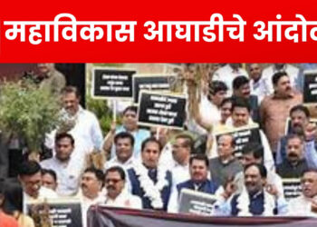Nagpur Adhivishan: कापूस, सोयाबीन, तूर पिकाला हमीभाव मिळावा; महाविकास आघाडीतील नेत्यांचे विधिमंडळाच्या पायऱ्यांवर आंदोलन