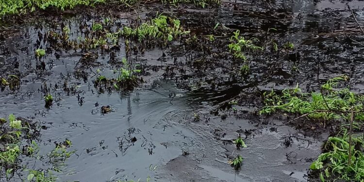 धांगवडीतील शेतात रासायनिक टँकर फेकल्याने ओढ्यासह विहीर व नदी प्रदूषणाच्या धोक्यात