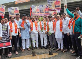 मनसेकडून नसरापूर – वेल्हे रस्त्यावर खड्यात झाडे लावून प्रशासनाचा निषेध