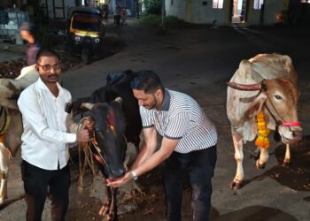 Bhor -बारे खुर्द येथे दिवाळी वसुबारस निमीत्त गोमाता पूजन