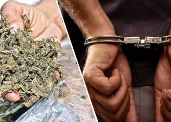 गाऊडदरा येथे अंमली पदार्थ विक्रीचा पर्दाफाश सुमारे वीस हजारांचा मुद्देमाल जप्त