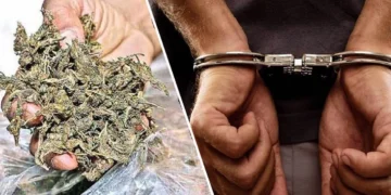 गाऊडदरा येथे अंमली पदार्थ विक्रीचा पर्दाफाश सुमारे वीस हजारांचा मुद्देमाल जप्त