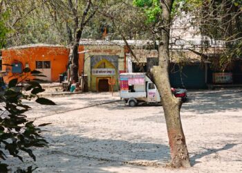 बेकायदा मधमाशांचे पोळे काढल्याप्रकरणी बनेश्वर ट्रस्ट सचिवासह दोघांवर वनविभागाकडून गुन्हा दाखल