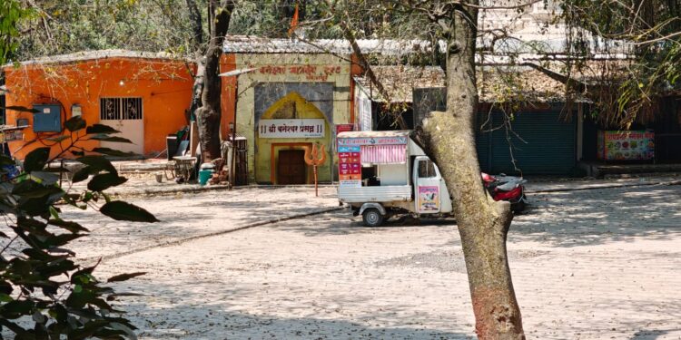 बेकायदा मधमाशांचे पोळे काढल्याप्रकरणी बनेश्वर ट्रस्ट सचिवासह दोघांवर वनविभागाकडून गुन्हा दाखल