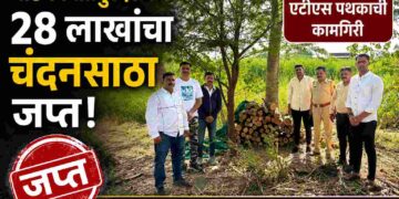 मांडकीत २८ लाखांचा चंदनसाठा जप्त : पुणे ग्रामीण एटीएसची धडक कारवाई