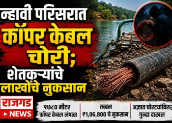 न्हावी परिसरात कॉपर केबल चोरी; शेतकऱ्यांचे लाखोंचे नुकसान