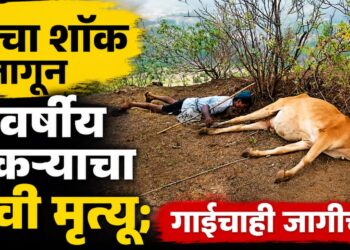 विजेचा शॉक लागून ५५ वर्षीय शेतकऱ्याचा दुर्दैवी मृत्यू; गाईचाही जागीच मृत्यू