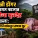 जन्मानंतरच मृत्यू की अन्य काही? नवजात बालिकेच्या मृतदेहाने खळबळ