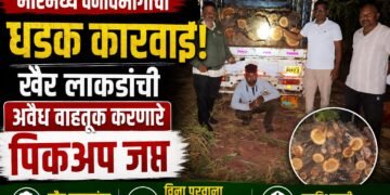 भोरमध्ये वनविभागाची धडक कारवाई; खैर लाकडांची अवैध वाहतूक करणारे पिकअप जप्त