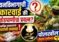 वनविभागाची कारवाई की तोडपाणीचा प्रयत्न? आर्थिक व्यवहाराच्या चर्चांनी खळबळ : भाग १